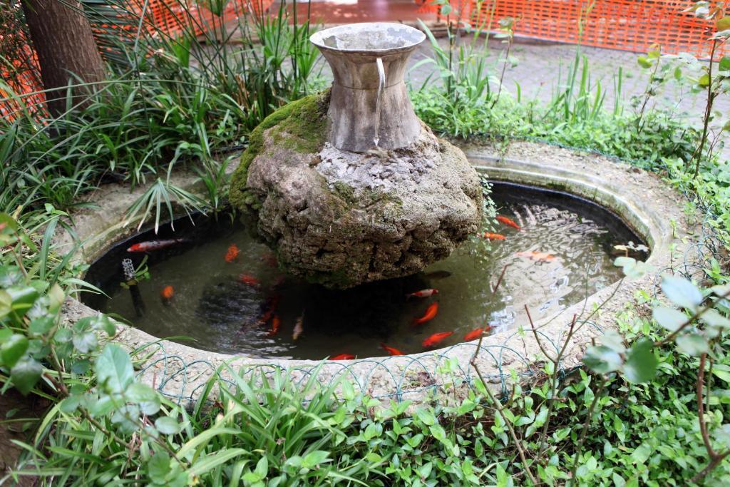 罗马 弗洛伊德粉色旅馆酒店 外观 照片